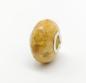 Preview: Fossile coral - EdelELB